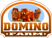 domino farm logo