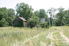 Domino Farm